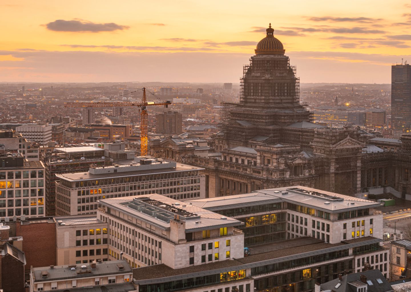 bxl.png